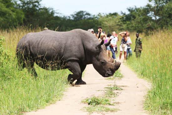 Ziwa Rhino Sanctuary